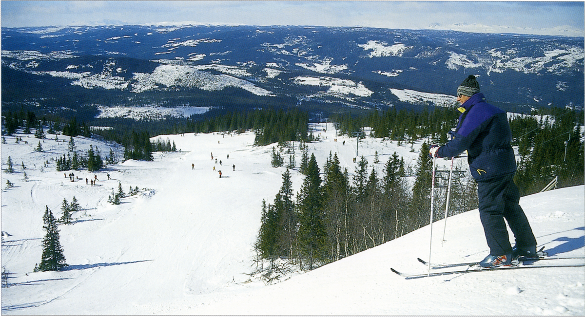 Fjellandskap. Skiløper ved toppstasjonen til Nesbyen Alpinsenter i påsken 1994.     Fra &quot¤Nes i bilder og tekst&quot¤.
