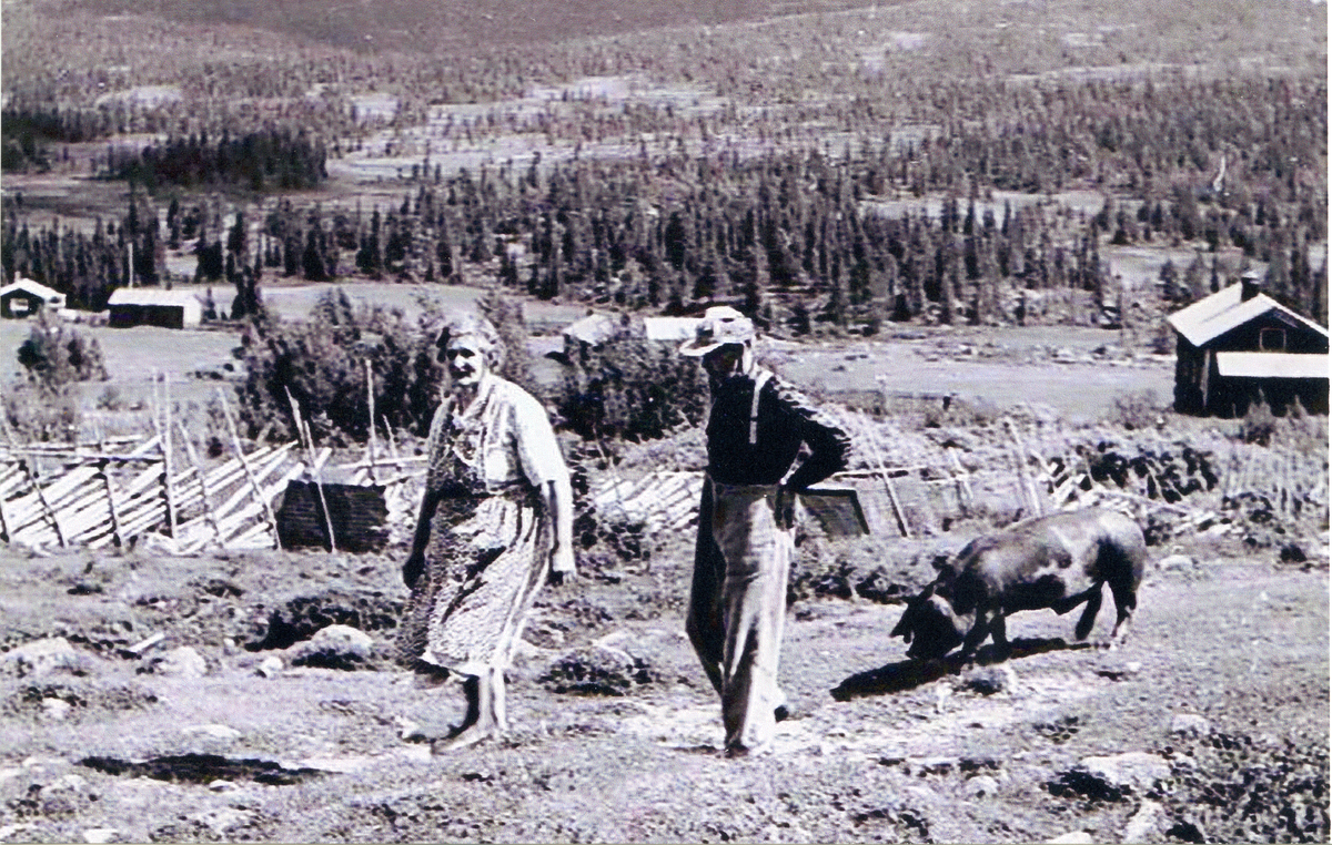 Stølsliv. Ingebjørg og Fingar Skjellerud med grisen ovenfor Kåterudvollen.
