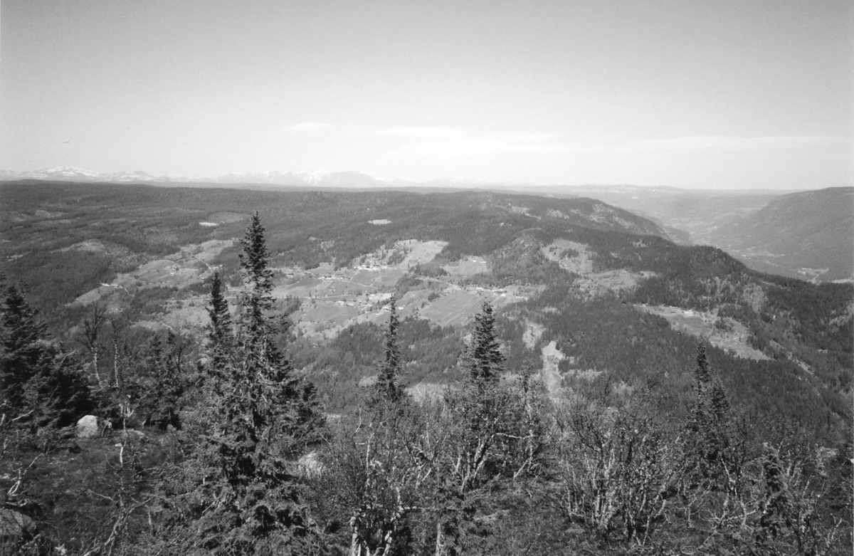 Landskapsbilde tatt fra Hågeberg mot Espeset med Dypedokknatten og Bringenatten t.h.  I bakgrunnen Hemsedalsfjellene med Skogshorn midt i bildet.
