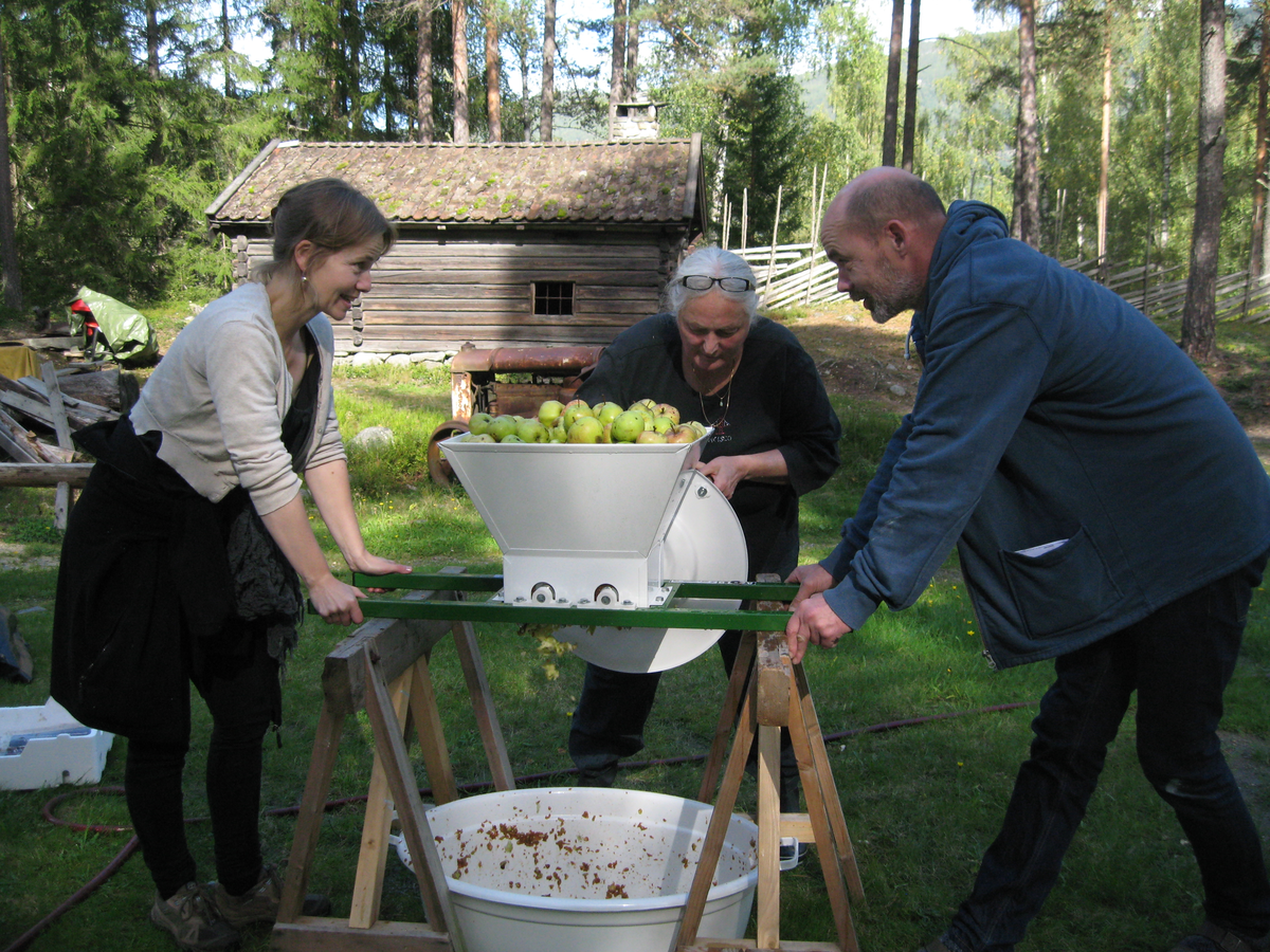 Eplepressing på Hallingdal museum.
