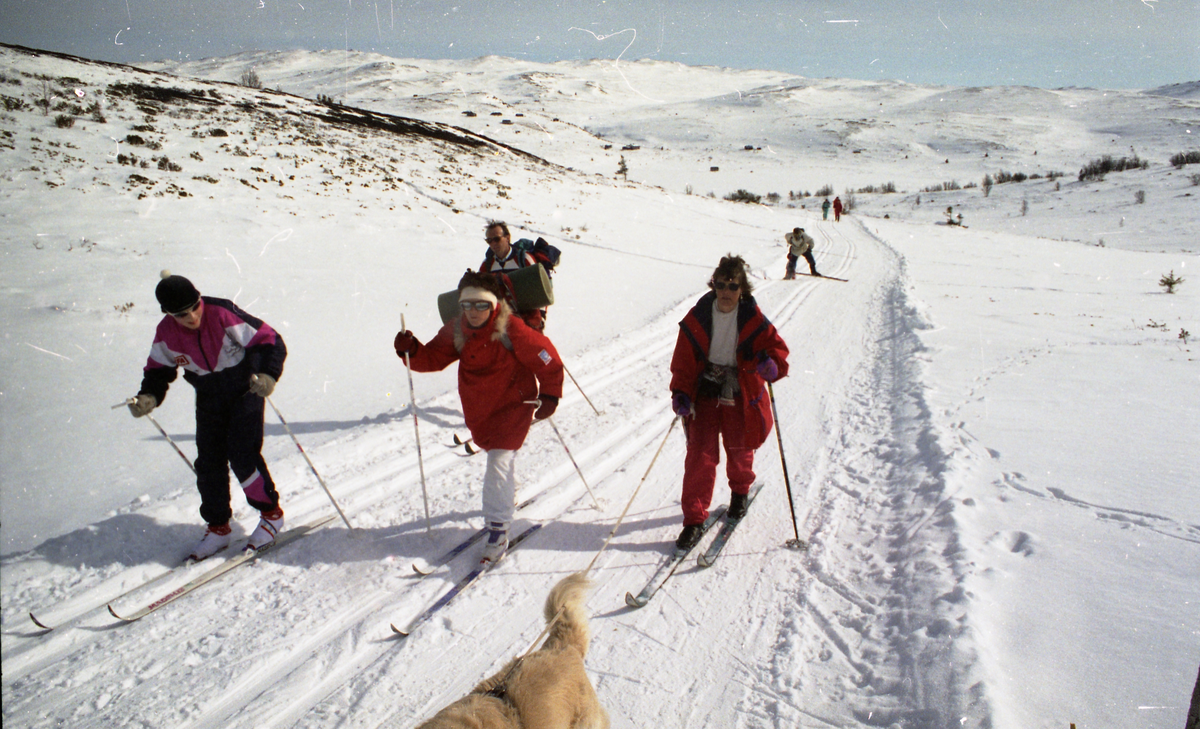 Påskefjellet
Skiturister i påskefjellet.
