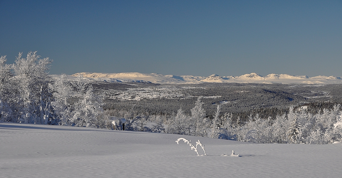 Ålingsfjell med Reineskarvet og Lauvdalsbrea tatt fra Gul runde, ikke langt fra Bardalhytta i Nes.
