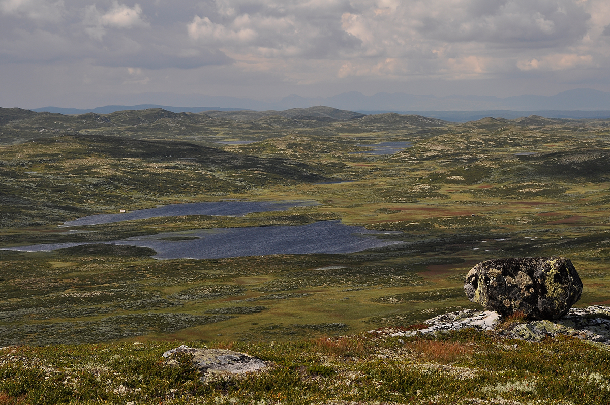 Hundevatni på grenasen mellom Nes og Nore
