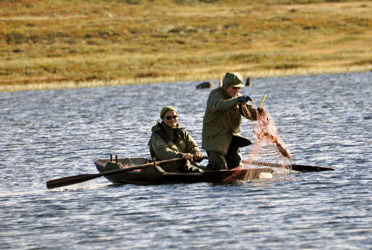 Garnfiske i Nesfjellet. F.v Sverre Lunde og Olav W Sveinsson. Garnfiske kan gi bra utbytte når det er lagt til rette for det gjennom kultiveringsarbeid gjennom mange år. Det må være balanse mellom utsetting av settefisk og uttak av fisk gjennom hele sesongen, noe som ikke alltid er lett å kontrollere i mer fjerntliggende områder. Her er det bra samarbeid mellom Sverre Lunde ved årene og Olav W. Sveinsson i knestående positur. Det gikk heldigvis bra!
