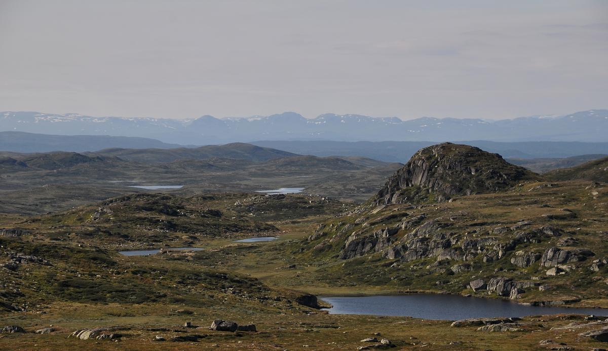 Korpenatten. Ålingsfjell i bakgrunn
