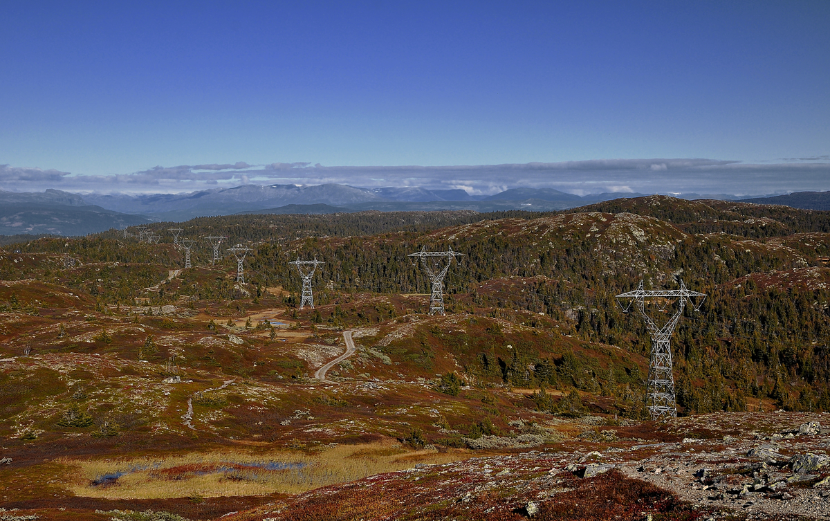 Landskap
Kraftlinjer i Liemarka sett fra stien til Blåfjell og med Hemsedalsfjellene i bakgrunnen. Noe vakkert syn er ikke dette, men miljøhensyn må vike for kraftbehovet i hovedstadsområdet!
