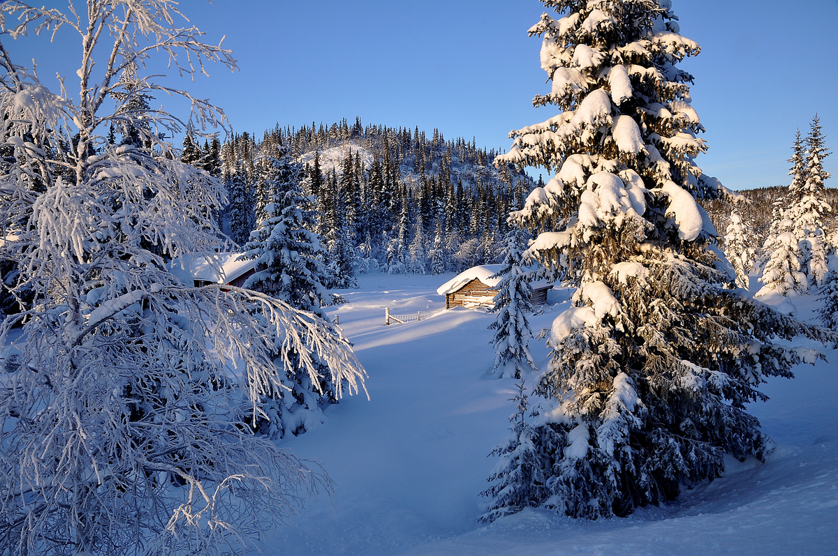 Vinter ved Langevatn
Vinterbilde tatt helt i slutten av året 2010.
