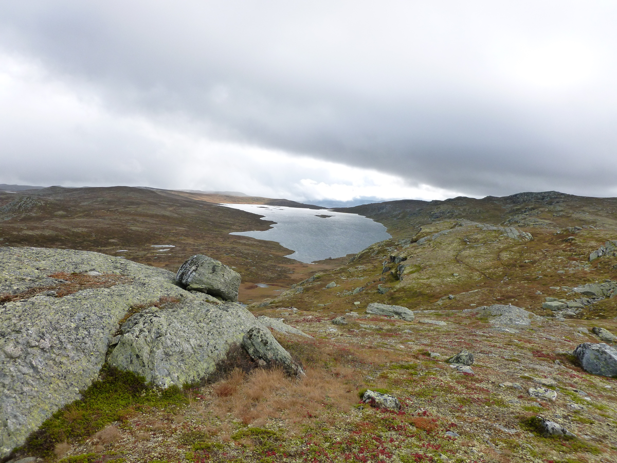 Fjellandskap. Reinsjøen sett fra nordenden og sydøstover.
