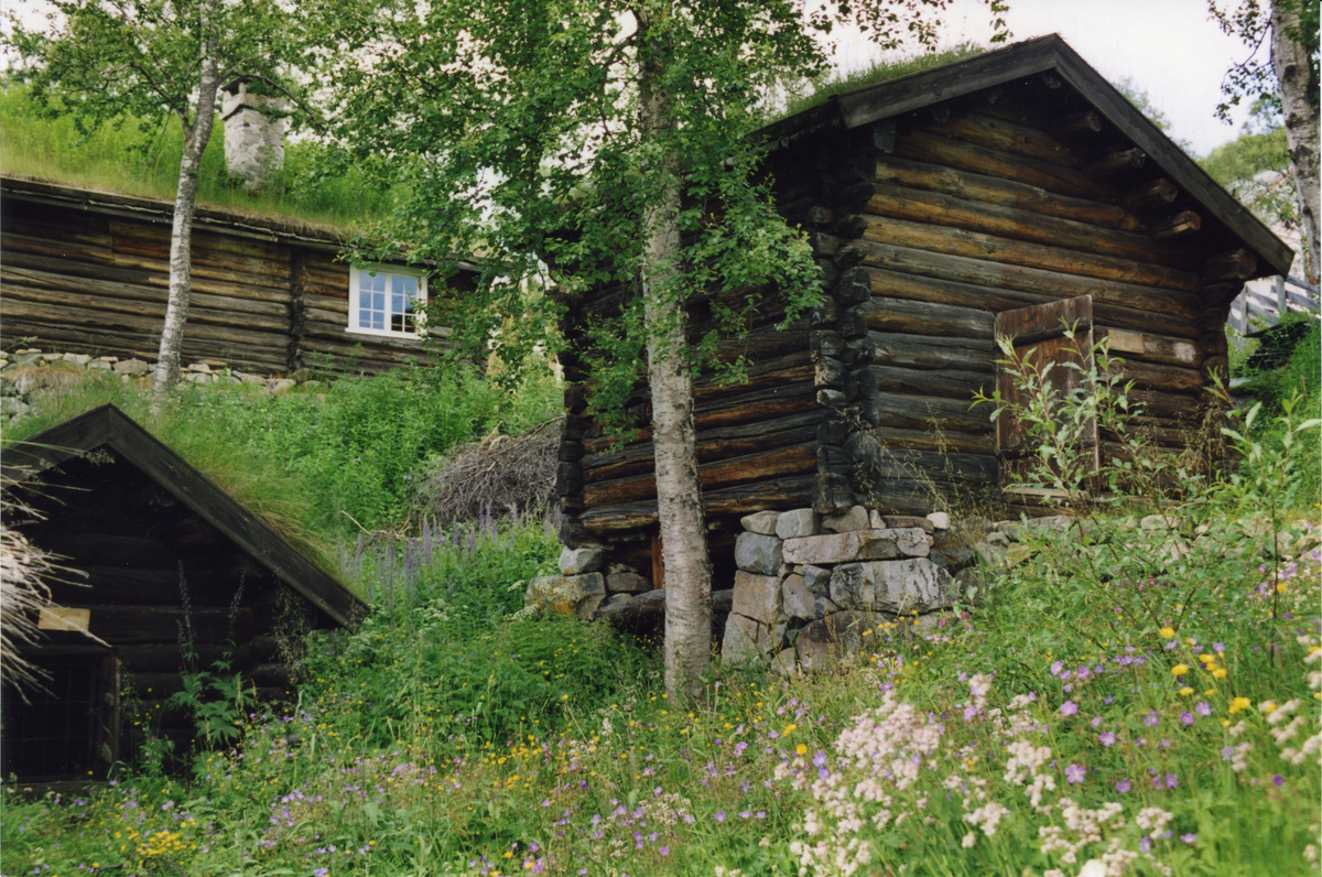 Museum
Hallingdal museum Dagali. Til venstre  Mostugu. Iforkant til høyre  kveernhus fra Aasberg, bygget i 1774.
