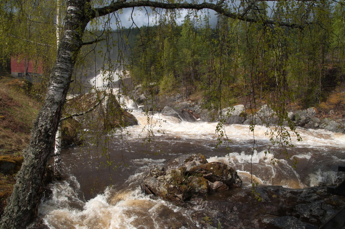 Naturlandskap
Rukkedøla
