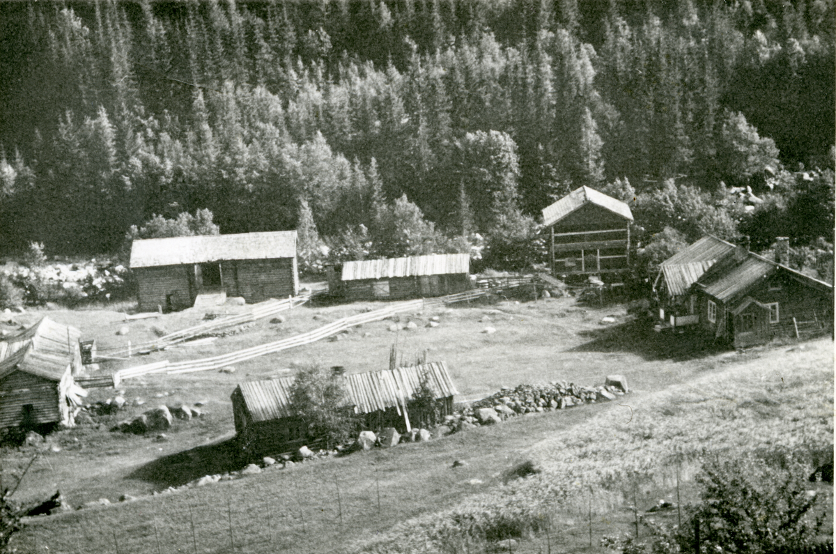 Gårdstun
Rukkedalen 1947. Huse er et gardsbruk ved Klype som ligger ned mot Rukkedøla. Tunet ligger på flatmark noe som gjør plassering av bygningene mye enklere. Dette er et typisk firkanttun. Fra høyre i bildet ser vi hallingstua, stolphuset, vognskjul og æplegrashus (til å tørke potegras i), 3 luta låve. Til venstre ligger fjøset med hestestall og saustall. Fremst i bilde er eldhuset og vedskålen. Hallingstua har to piper, det er fordi ene kløven er gjort om til kjøkken når vedkomfyrene kom i handel. Eier i dag er Guri Sigrid Huse. Foto Brye. Utlånt av Arne Jonn Huse
