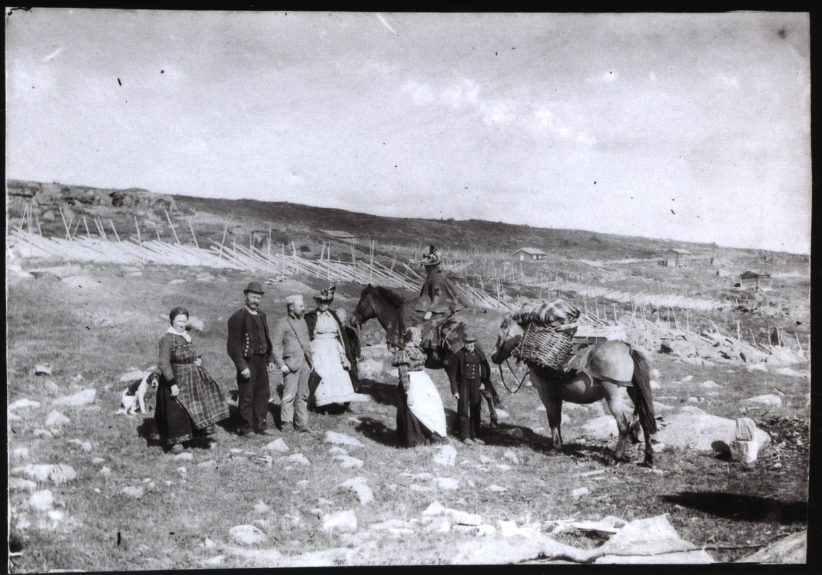 Seterliv
På Skålsrudstølen sommer 1897.
Bildet er tatt på volden til nordre Espeset gård. I bakgrunnen Sommarhaugvolden.
Fv. Margit Evensdatter Espeset, Morten L. Espeset (Sølvsmed-Morten), advokat Jan Groos Helmer, fru Fernanda Ytteborg, Øivind M. Espeset (delvis skjult foran hesten), ukjent, på hesten Anita Henchel, Lars M. Espeset.
