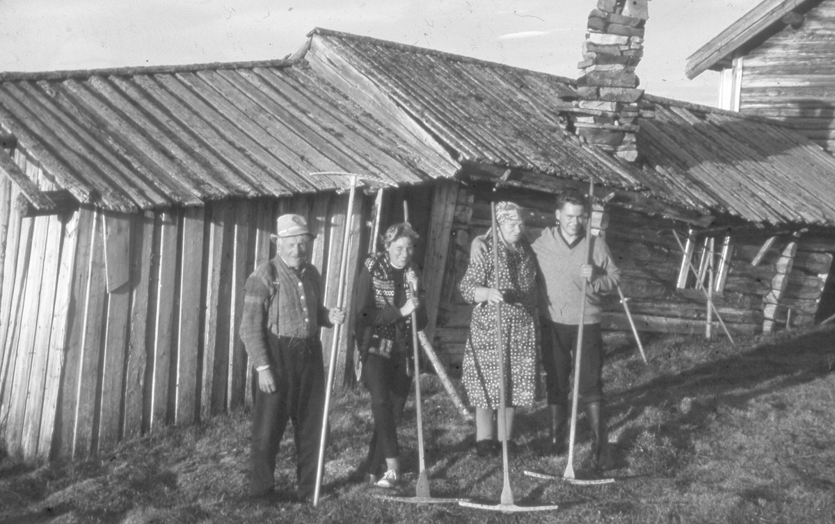 Seterliv
Slåttefolk
