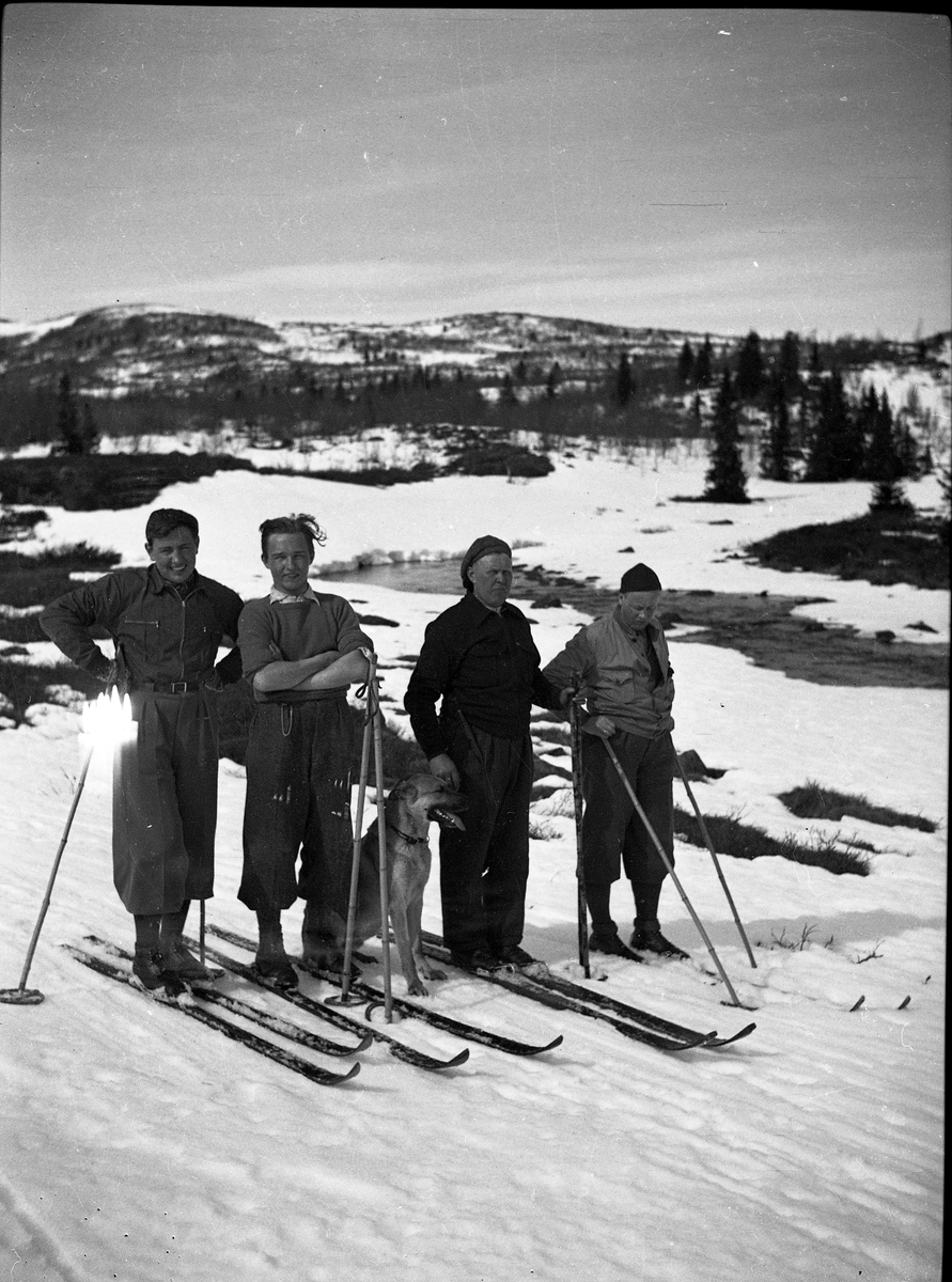 Skiløpere
