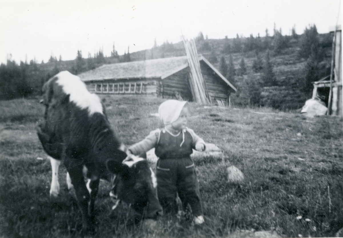 Jente
Anne Mette Renslo  (f 1957) på Skålsrudstølen 1959.
