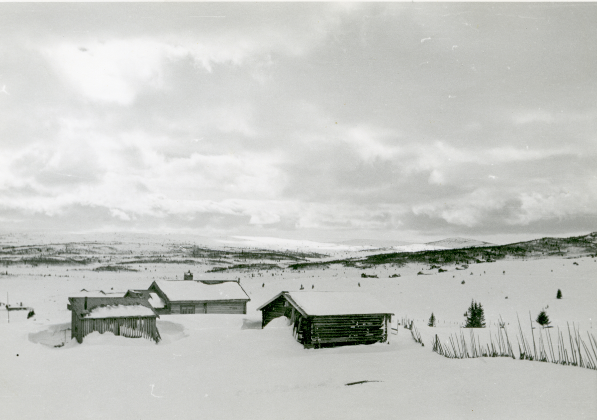 Landskap
Vinterbilde fra Skålsrudstølen.
