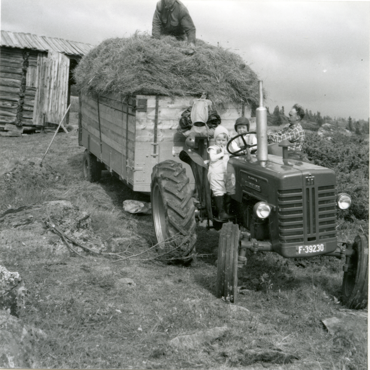 Slåttonn
Forlasset er klart for hjemkjøring til Espeset fra Skålsrudstølen. 1962. Fra v Anne Mette, Lars Olav, Morten. Lars oppå lasset.
