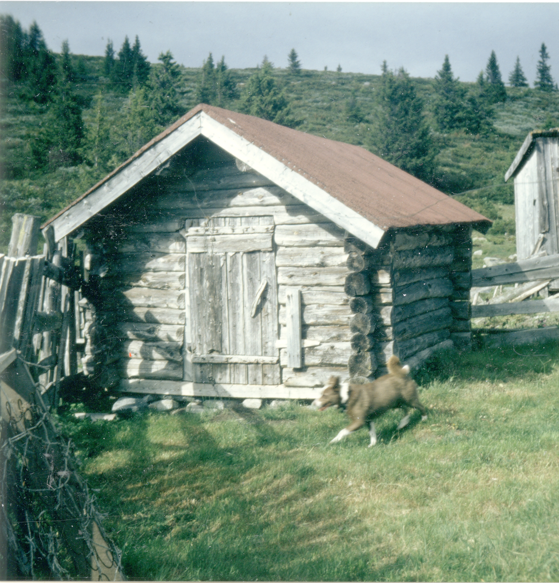 Grisehus på Skålsrudstølen.Huset sto først i Espeset og ble brukt som hønsehus.
