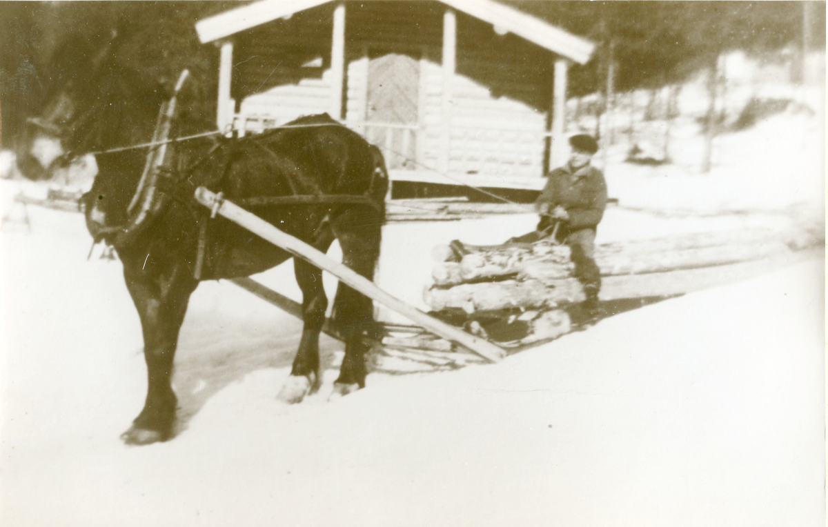 Tømmerkjøring
Ingvald Brøto på tømmerlasset forbi skogskoia Nysetre i Sevrelia i ytre Nes vinteren mellom 1942-1945
