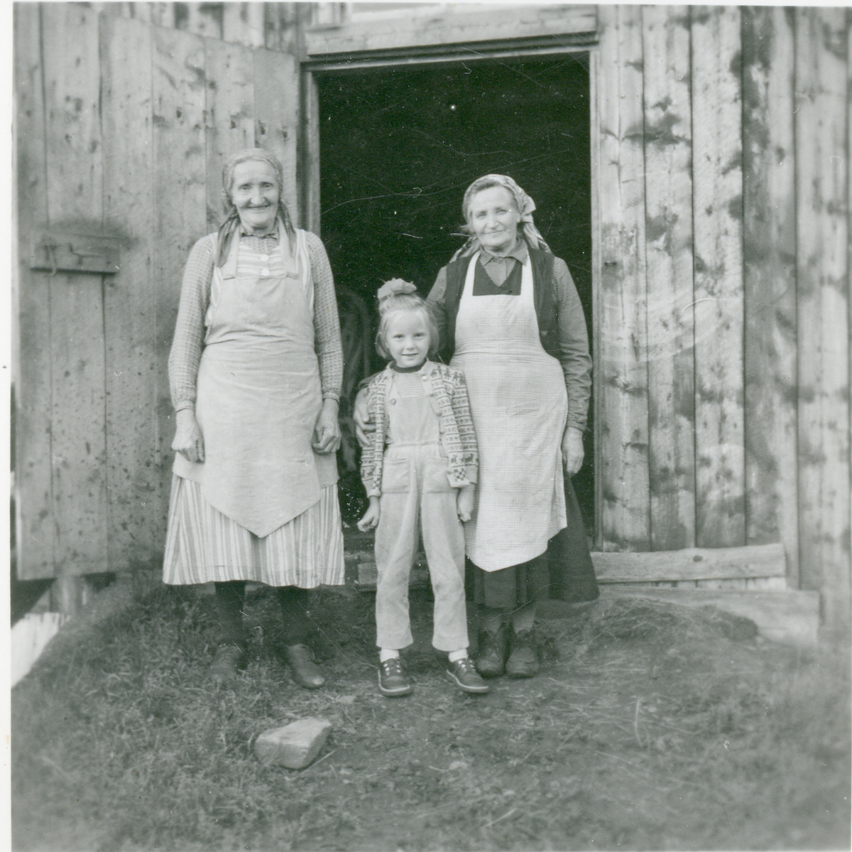 Gårdsdrift
Randi Isakbråten og Astrid Mehlum. Jenta er Marit Brænna?Tatt i 1957
