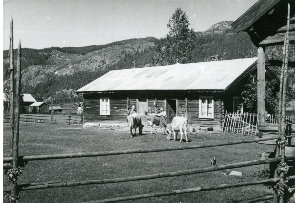 Gire-Heio
Gårdsbruk. Eier Halvor Smedsgård
