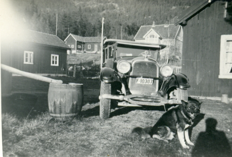 Gammel bil og hund. Bilen tilhører Karl Medgård & Co,  Nesbyen. F- 10307, Studebaker privatbil
