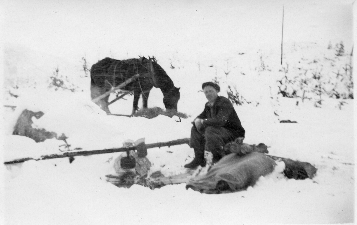 Skogsarbeid
Oskar Bentehaugen på tømmerkjøring med hest.
