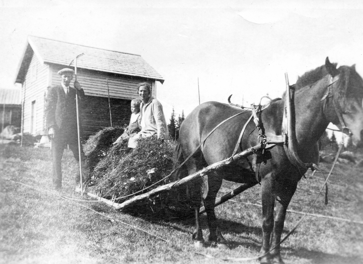 Forkjøring
Syver Hanserud, Torstein Hanserud f. 1928 (død) og Marie Hanserud. 
