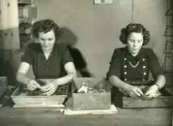 Frimerkearbeid på Tubfrim, vasking av frimerker.
Fra venstre