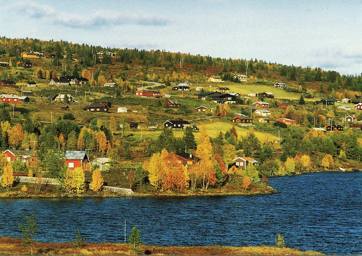 Landskap
Mykingstølen med Mykingsjøen.Merødningsvollen nærmest. Haugovollen, Myking kolonial, den røde til v Arne Kr. Eidals kolonial.
