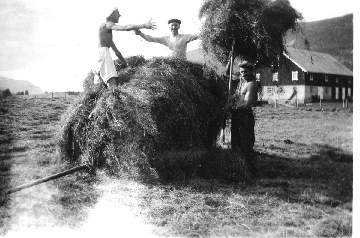 Slåttonn
Slåtten i 1941. 3 slåttekarer. Tor Myre i midten. De to andre ukjent.
