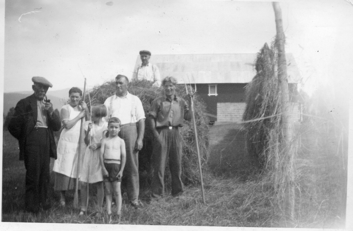 Slåttonn
Slåtten i 1938. Peder Grimsgård til venstre, Marie Myre, Aud Myre, Per- Egil Myre og Tor Myre bak. De to andre ukjente.
