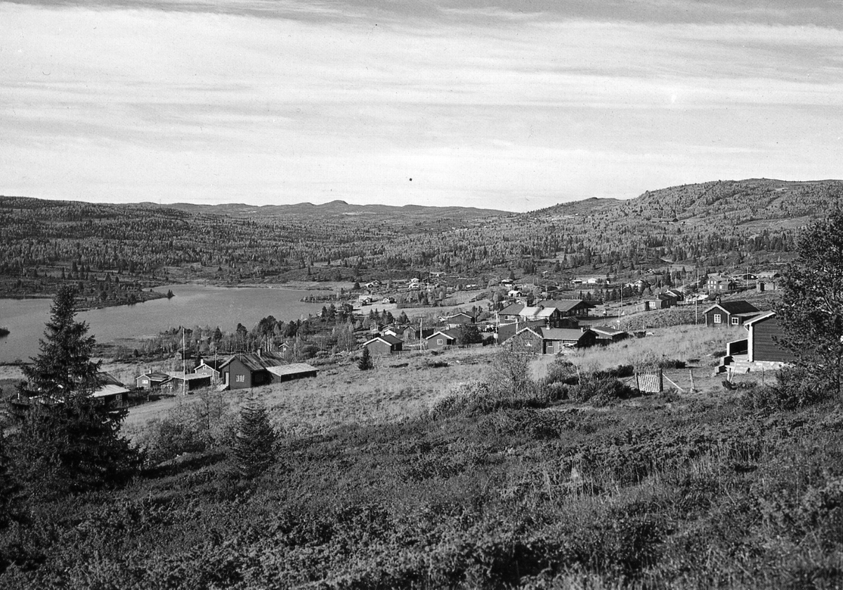 Landskap
Postkort fra Mykingstølen.
