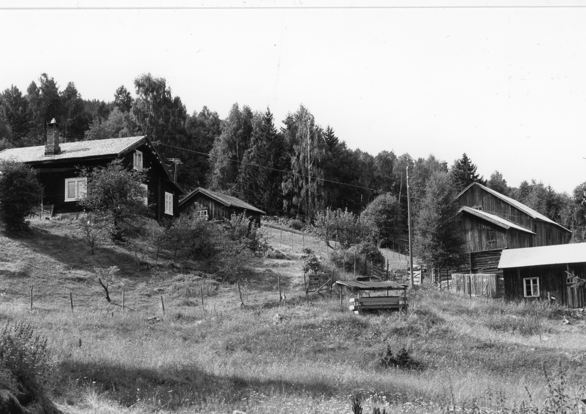 Teigen i Børtnesødegårdene
