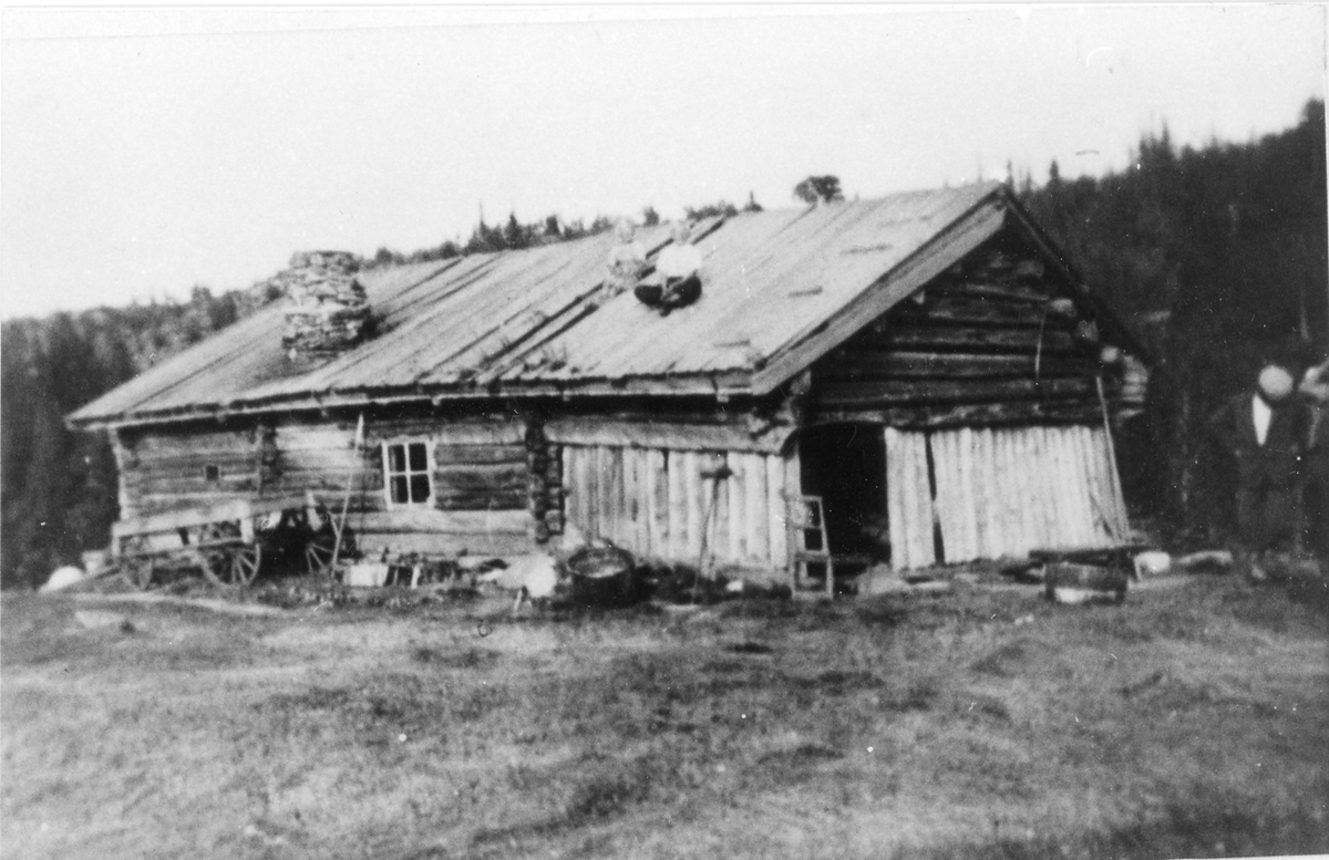 Seterliv
Den gamle stølsbua på Trondrud-Nystølen. På taket Kari Holm og Kåre Holm. Til høgre Arne Holm.  Fra boka &quot¤Stølsdrift i Nes&quot¤.
