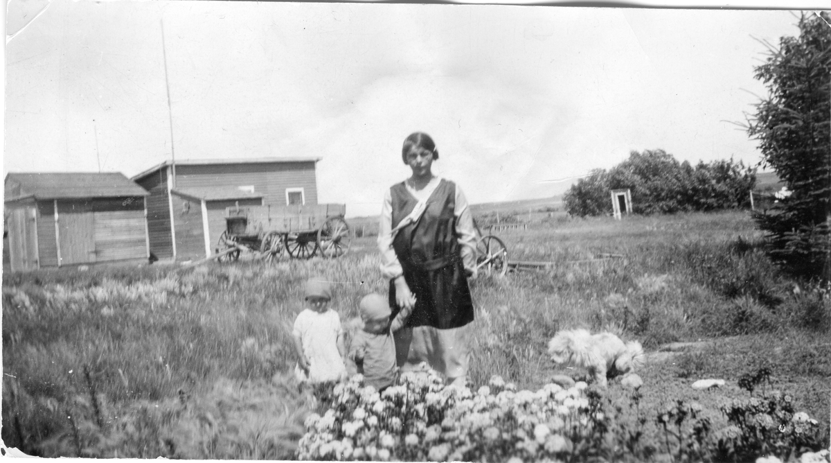 Familie
Klara (f Holm) Jorde med barna Margit og Arnold Jorde på farmen i Kanada.
