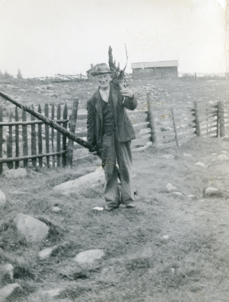 Mann
Elling O. Klype (1872-1961) , "gamle Elling".Bilder ertatt på Saupeset 1940-tallet.3 typer skigard¤ Stakittgard, bordgard og skigard øverst.
