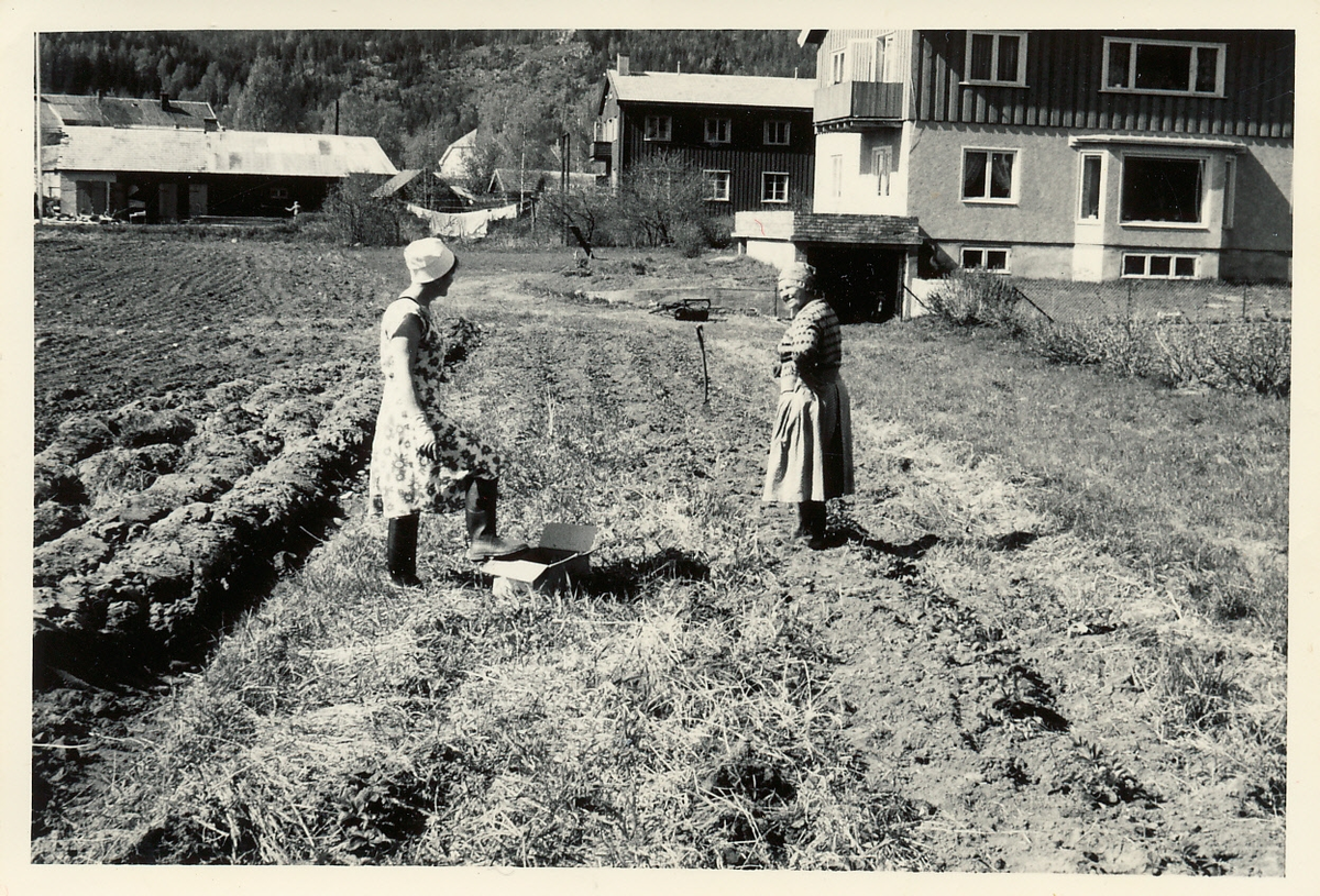 Kari Hanserud og Klara Jorde i potetåkeren på Jorde. Her ser vi første utbyggingstrinn av Svenkerud Hotell.
