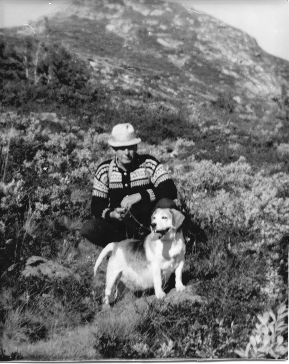 Fjelltur
Mann med hund
