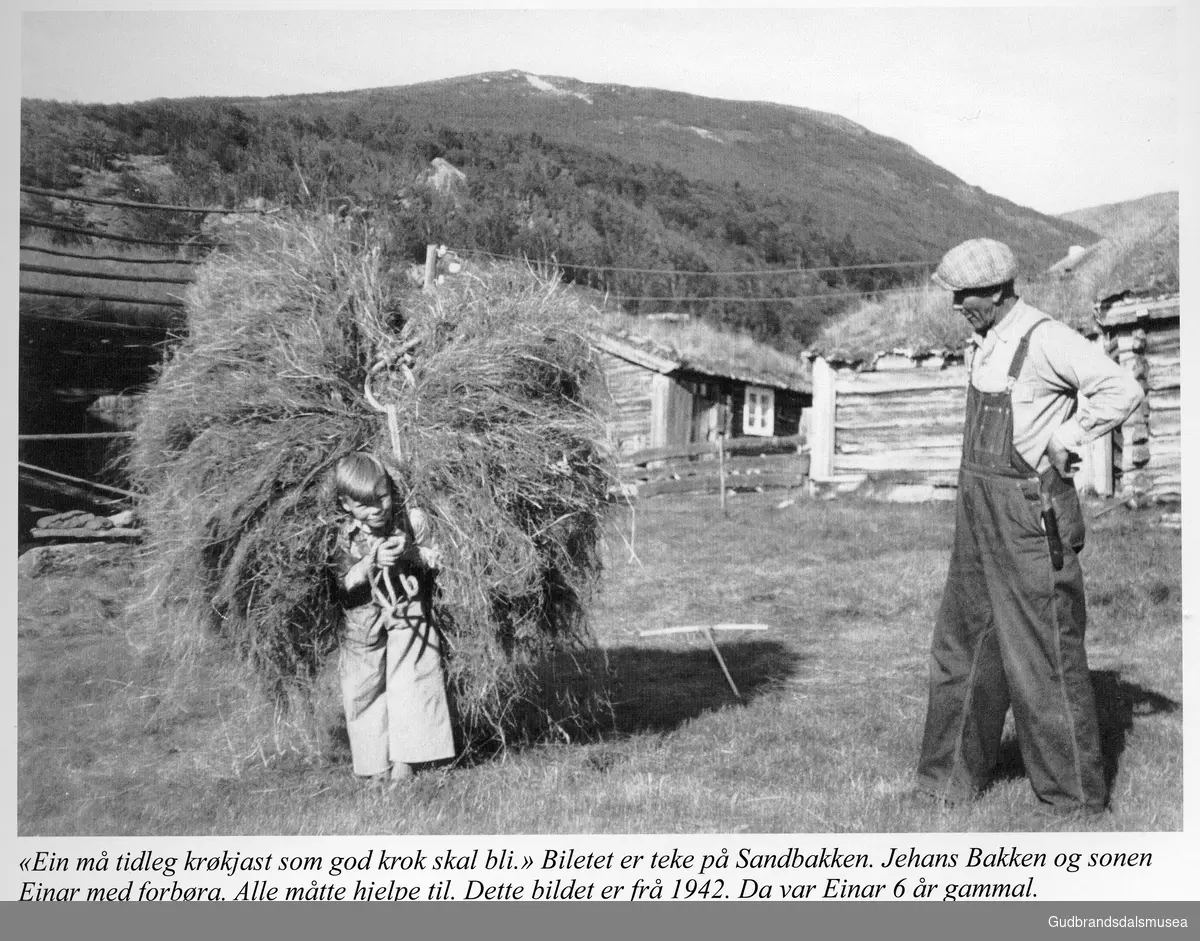 "Ein må tidleg krøkjast som god krok skal bli." Biletet er teke på Sandbakken, Jehans Bakken og sonen Einar med forbøra. Alle må hjelpe til. Dette bildet er frå 1942. Da var Einar 6 år gammal.
Foto: Alfred Bakke. Utlån: Rune Øygard

Vågåkalenderen 2017, utgjevar: Vågå Kameraklubb