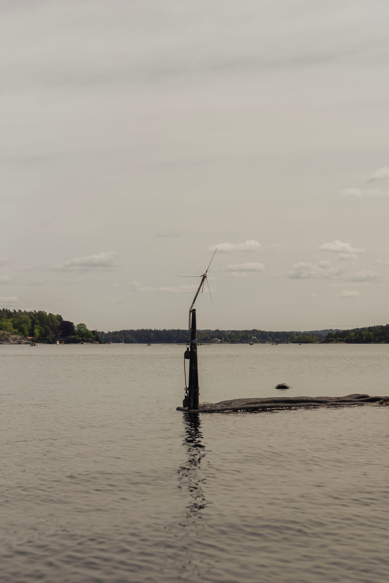 AKSJON Oslofjord/Lakseberget: En skøyte forvandlet til vrakbåt. Den sank på nyåret 2023, og ligger på åtte meters dyp. Kun to master i tre stikker over vannflaten.