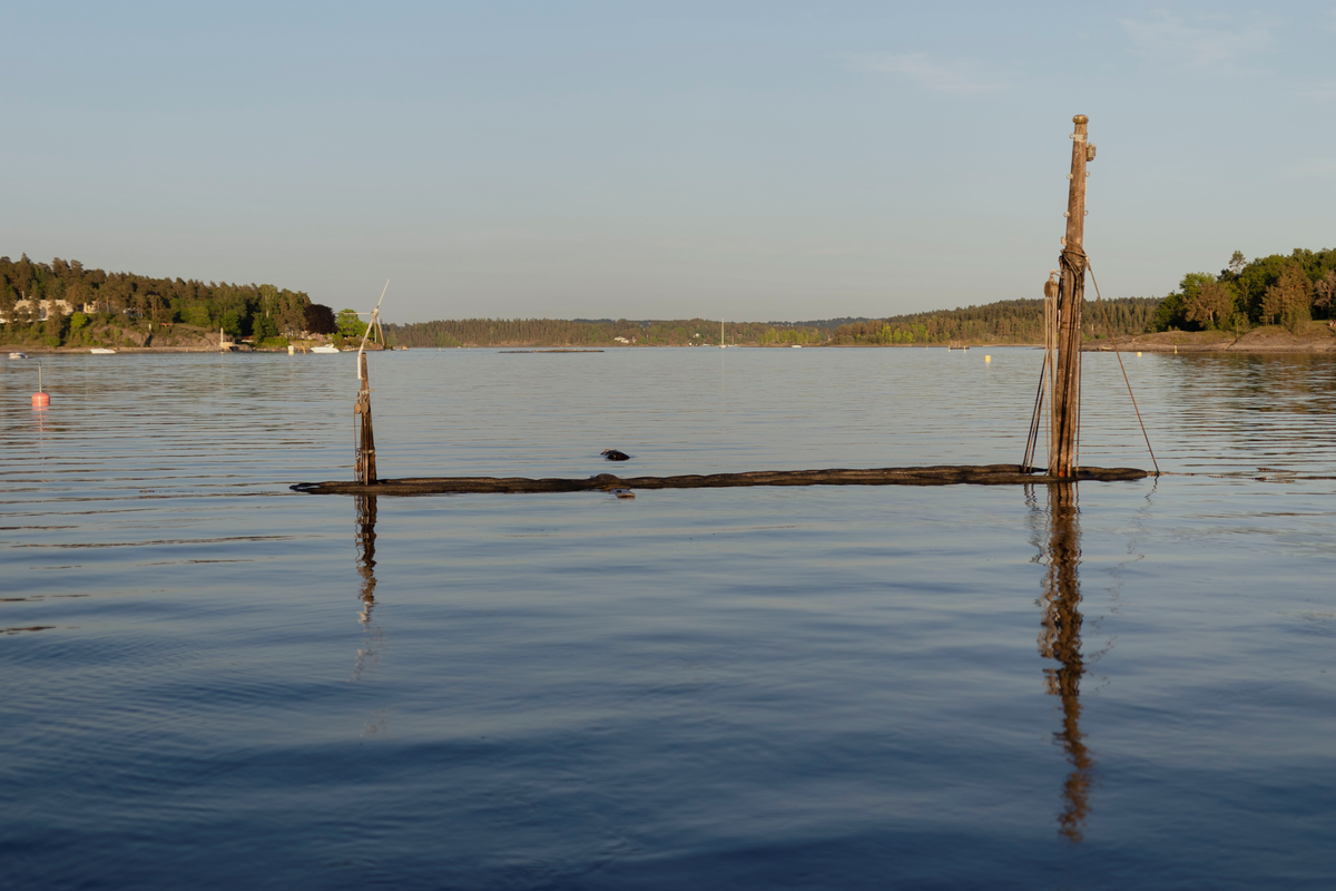 AKSJON Oslofjord/Lakseberget: En skøyte forvandlet til vrakbåt. Den sank på nyåret 2023, og ligger på åtte meters dyp. Kun to master i tre stikker over vannflaten.