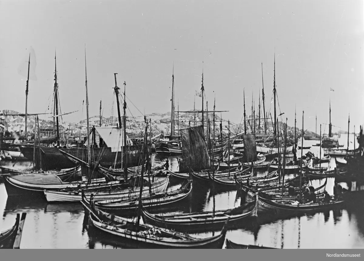 Bildet viser fembøringer, åttringer, og andre båter i havnen i Stamsund.