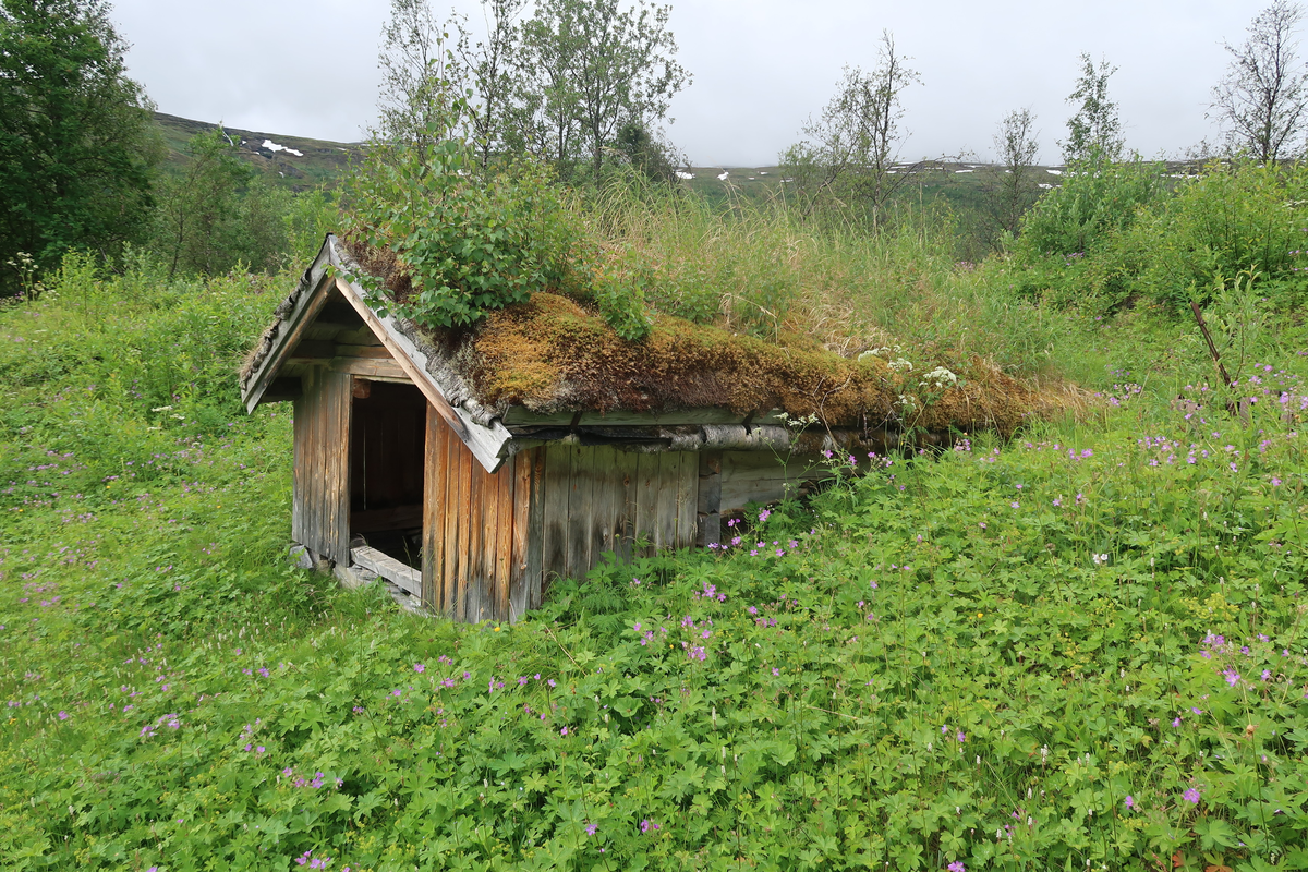 Matbua (masstu) er et lite enetasjes lafta hus som er gravd delvis ned i bakken. Her holdt maten seg kaldt på varme dager. Matbua var bygd før 1886.