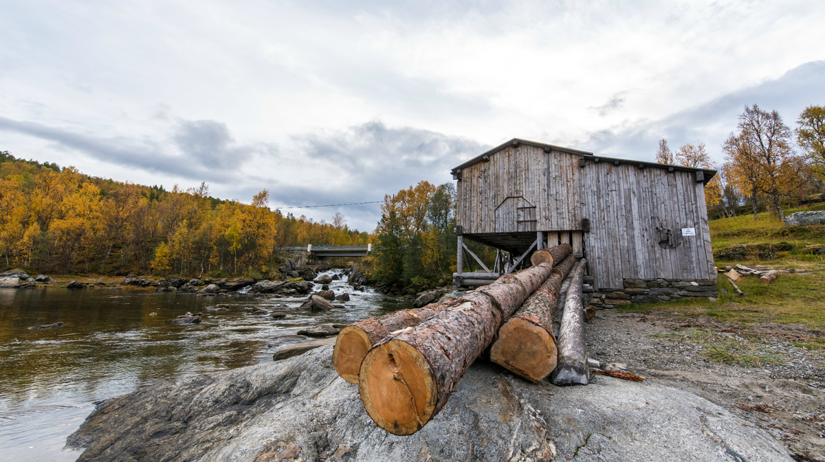Aursfjordsaga – den eneste bevarte oppgangsaga i Nord-Norge
Den ble revet i 1958 fordi det ble bygd ny vei like forbi sagbruket. Men folk med blikk for historie tok vare på både sagramme og annet utstyr, og saga ble i tiden 1977 – 1982 restaurert av Arne Pedersen, som er i rettlinjet slekt med Ingebregt Eliassen. Fra denne saga er det i senere år levert bord til både Morgedal og Maihaugen.