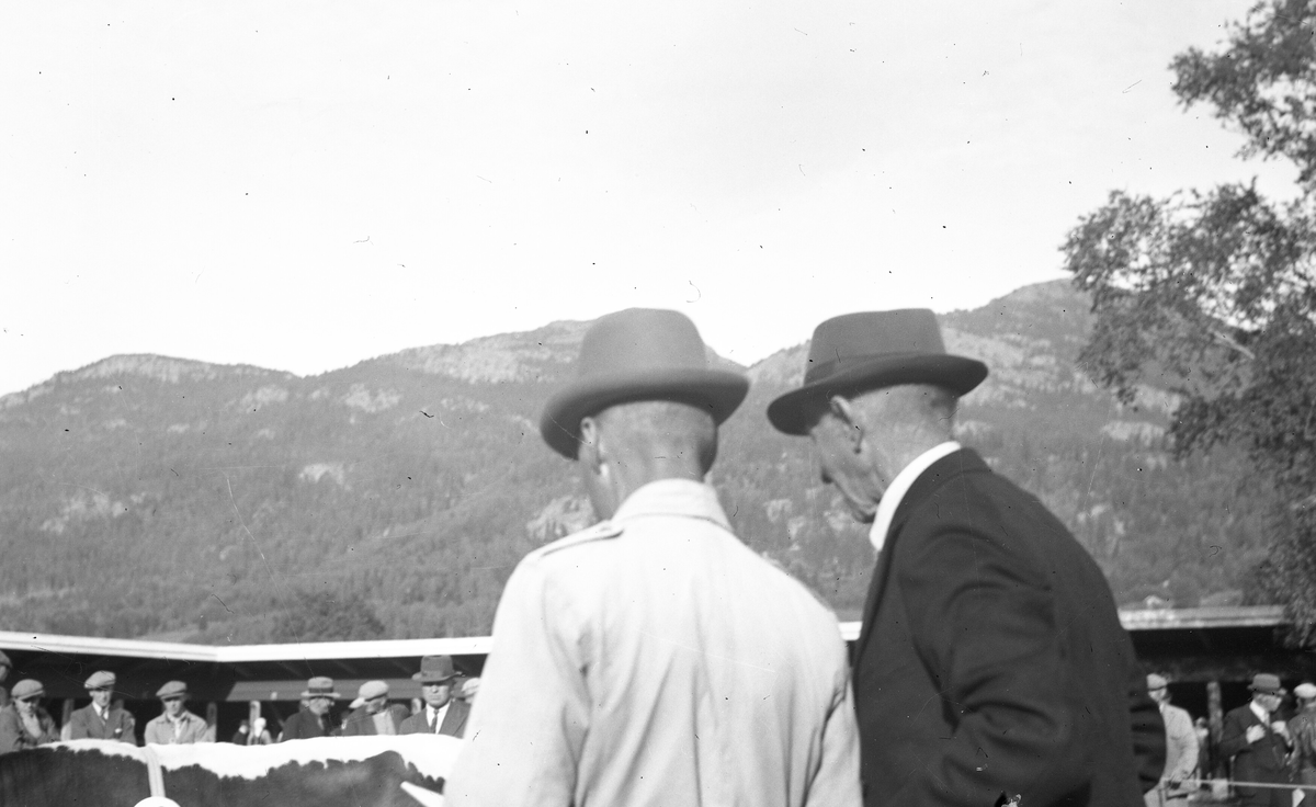 Oksedommarane under Dyrskun i Seljord 16.9.1941.