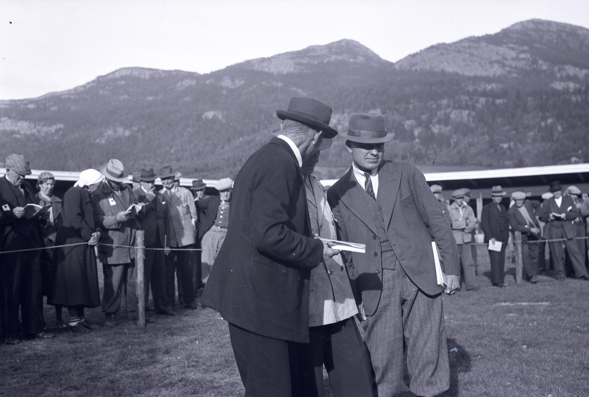 Oksedommarane under Dyrskun i Seljord 16.9.1941.