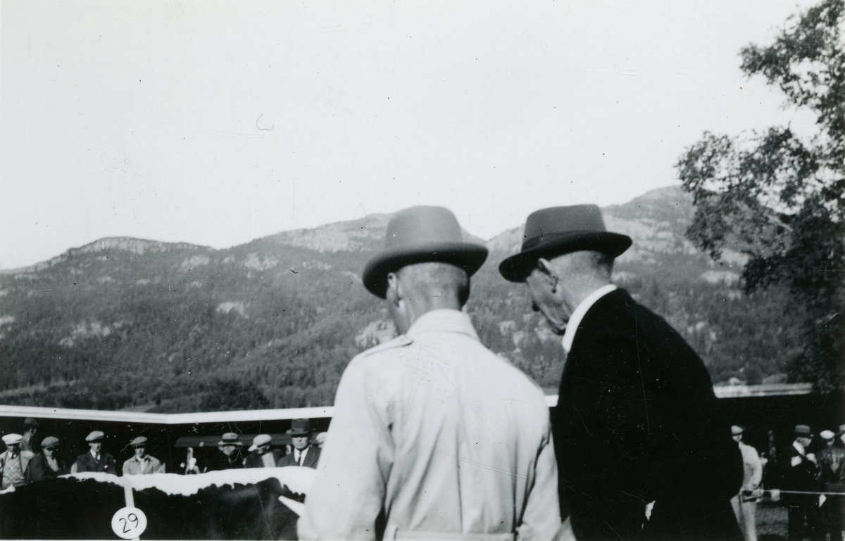 Oksedommarane under Dyrskun i Seljord 16.9.1941.