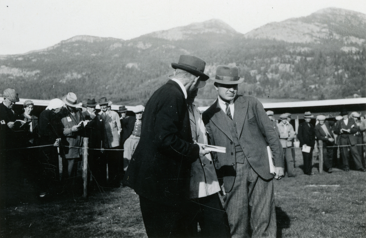 Oksedommarane under Dyrskun i Seljord 16.9.1941.