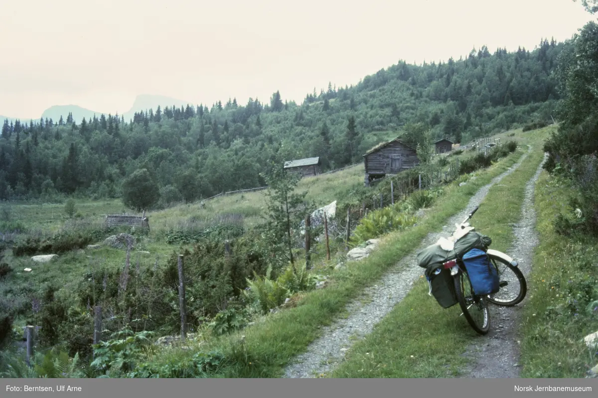 På sykkel på gammel hovedvei ved Gravset i Hemsedal kommune